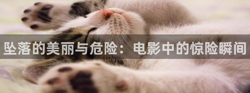 4496青苹果影院看电视剧：坠落的美丽与危险：电影中的惊险瞬间