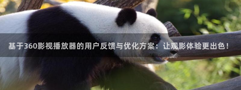 青苹果乐园高清免费播放电视剧大全：基于360影视播放器的用户反馈与优化方案：让观影体验更出色！