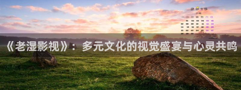 青苹果乐园电视剧全集观看：《老湿影视》：多元文化的视觉盛宴与心灵共鸣