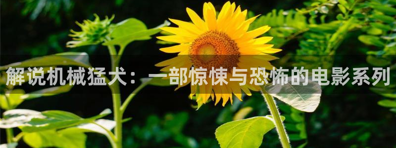 yy6080青苹果影院旧里番：解说机械猛犬：一部惊悚与恐怖的电影系列