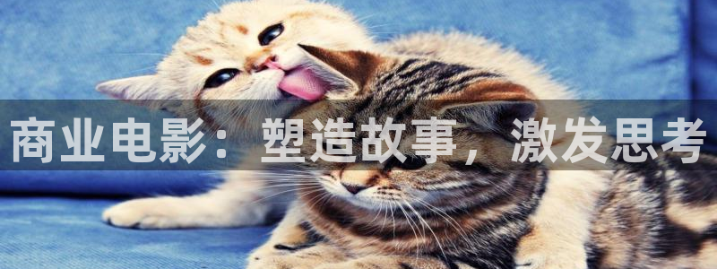 青苹果影院福利视频：商业电影：塑造故事，激发思考