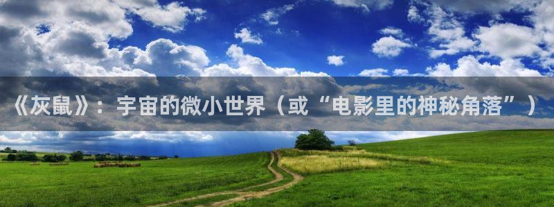 青苹果6080新视觉：《灰鼠》：宇宙的微小世界（或“电影里的神秘角落”）