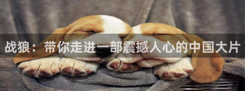 青苹果高清在线观看：战狼：带你走进一部震撼人心的中国大片