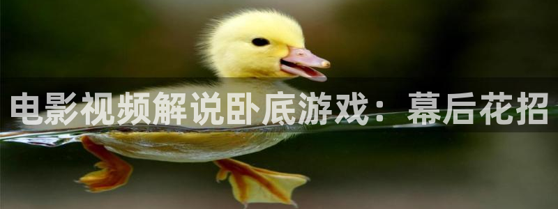 楚乔传青苹果影院全集免费看：电影视频解说卧底游戏：幕后花招