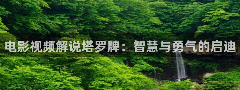在线观看青苹果影院：电影视频解说塔罗牌：智慧与勇气的启迪