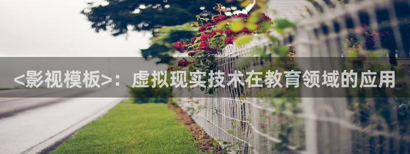 4138青苹果影院：<影视模板>：虚拟现实技术在教育领域的应用