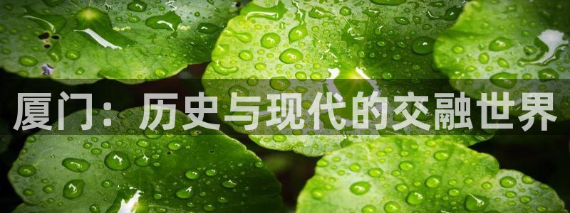 yy4080青苹果免费影院：厦门：历史与现代的交融世界