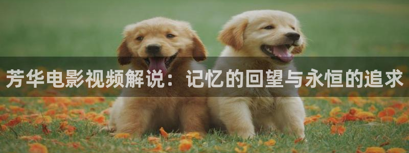 青苹果视频播放器：芳华电影视频解说：记忆的回望与永恒的追求
