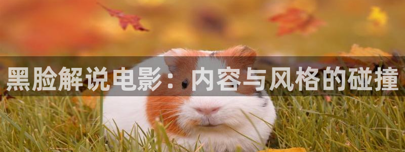 青苹果乐园电影免费观看：黑脸解说电影：内容与风格的碰撞