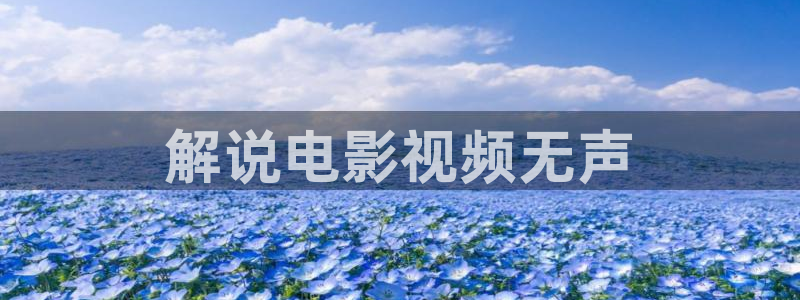 6080青苹果私人影院：解说电影视频无声