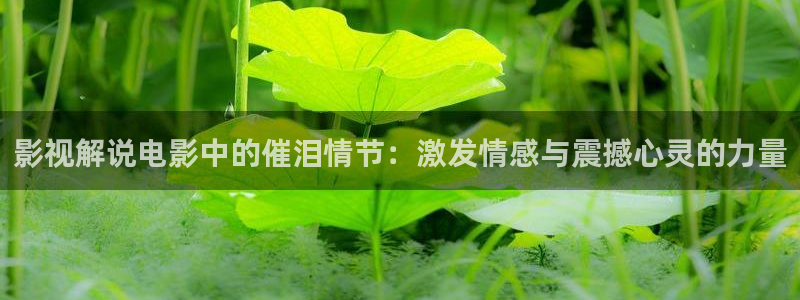 青苹果影院4080y：影视解说电影中的催泪情节：激发情感与震撼心灵的力量
