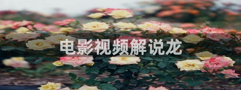 青苹果6080影视：电影视频解说龙
