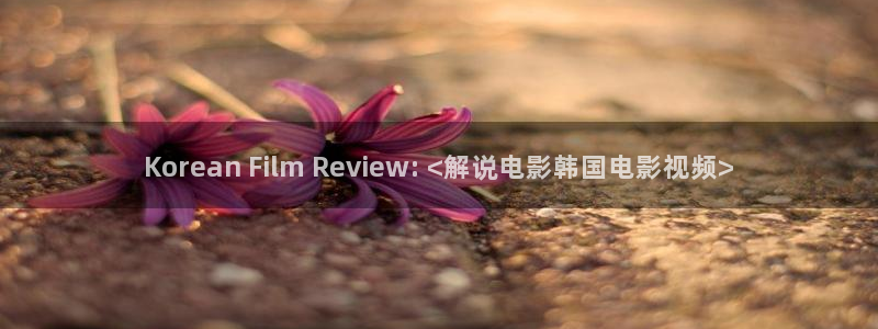 青苹果影院yy60：Korean Film Review: <解说电影韩国电影视频>