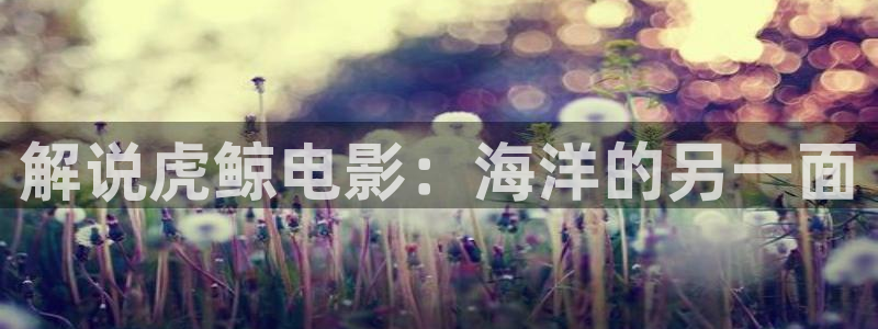 青苹果影院2020电视剧最新：解说虎鲸电影：海洋的另一面