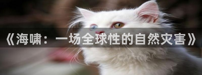 小草影视青苹果影院