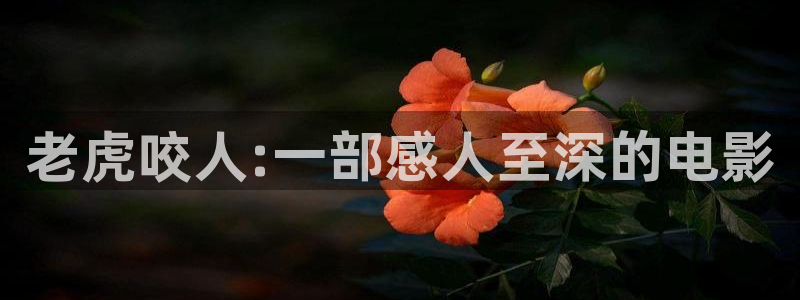 丫丫480青苹果影院