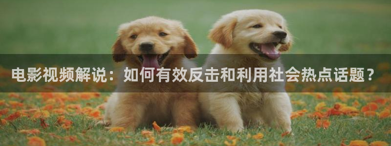 青苹果最新影院：电影视频解说：如何有效反击和利用社会热点话题？
