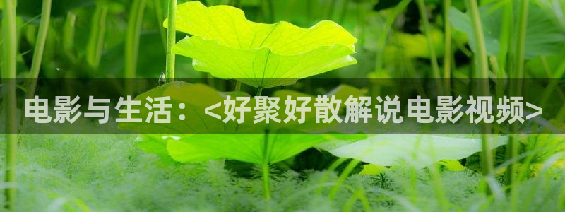 青苹果影视爱水果：电影与生活：<好聚好散解说电影视频>