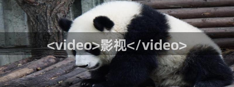 青苹果乐园免费观看完整：<video>影视</video>