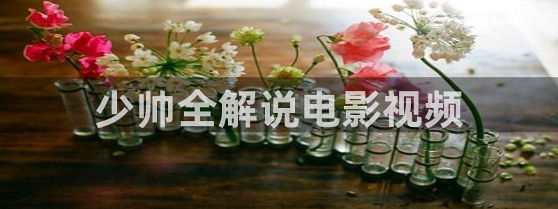 青苹果乐园影视在线免费观看：少帅全解说电影视频