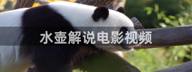 4480青苹果影院伦理片：水壶解说电影视频