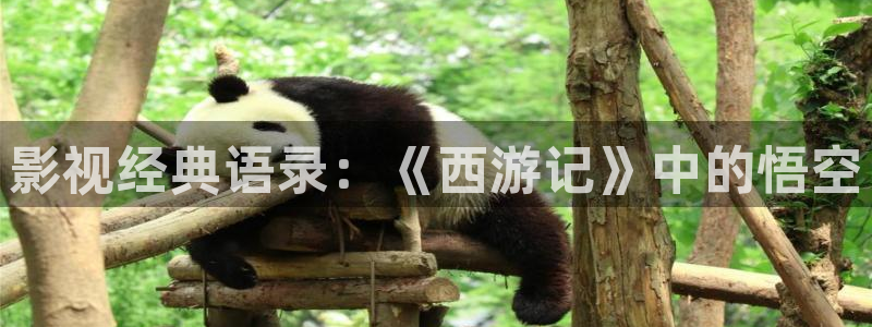 青苹果影视乐园电视剧：影视经典语录：《西游记》中的悟空