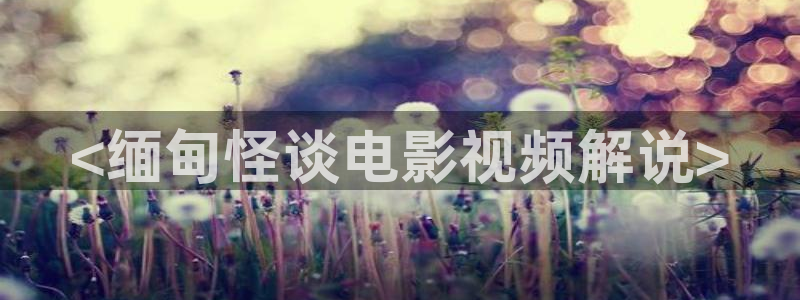 万利达影院青苹果：<缅甸怪谈电影视频解说>