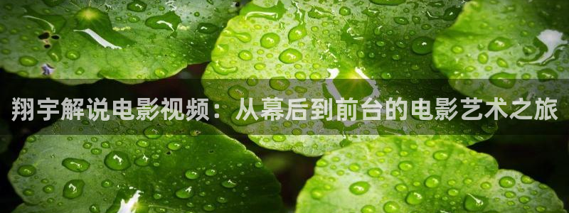青苹果乐园高清免费播放谍战片：翔宇解说电影视频：从幕后到前台的电影艺术之旅