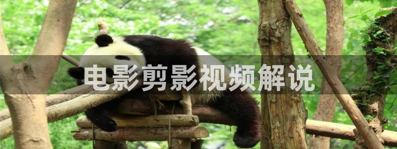 青苹果影院在线下载：电影剪影视频解说