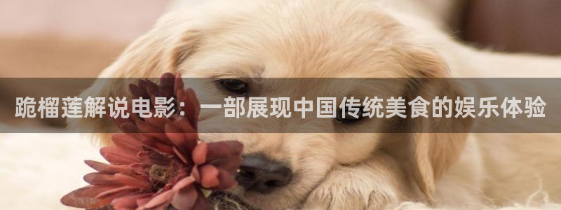 yy4800万达影院青苹果：跪榴莲解说电影：一部展现中国传统美食的娱乐体验