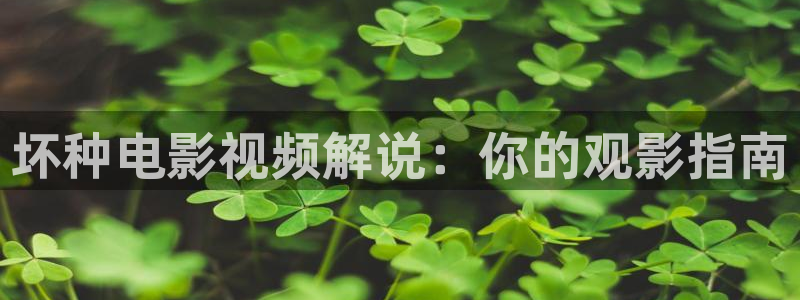 yy4800青苹果影视