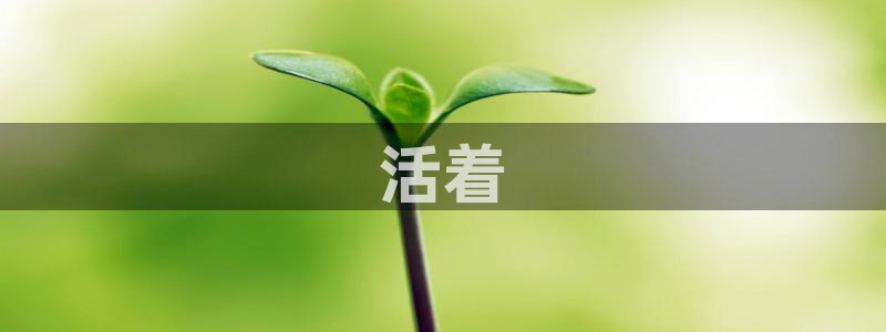 yy4840青苹果影院