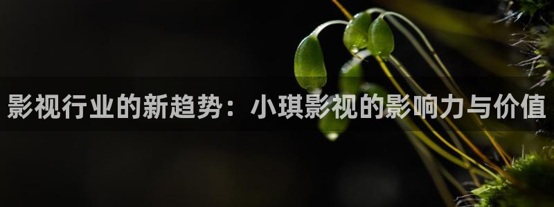 青苹果山东