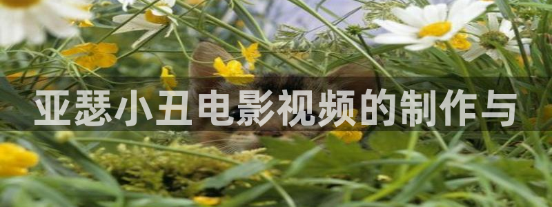 ay44青苹果影院