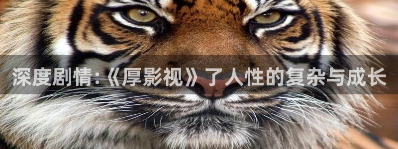 青苹果乐园高清在线观看免费播放