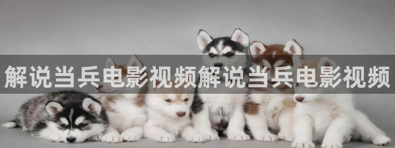 青苹果6080新视觉