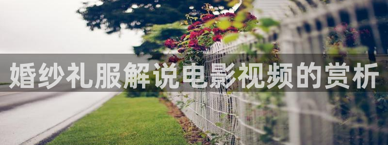 青苹果影视伦理