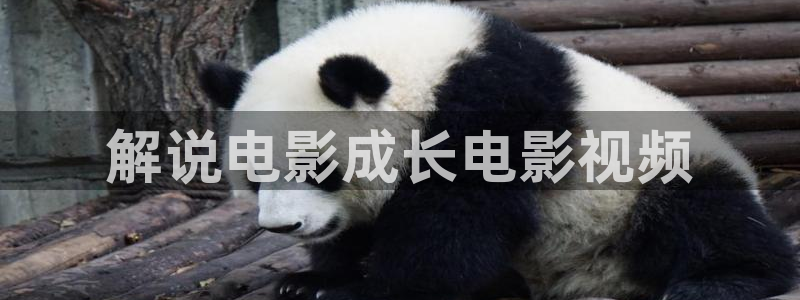 青苹果乐园免费观看电视剧高清yy48