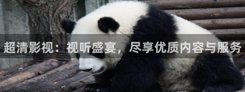 青苹果影院电影电视剧免费观看