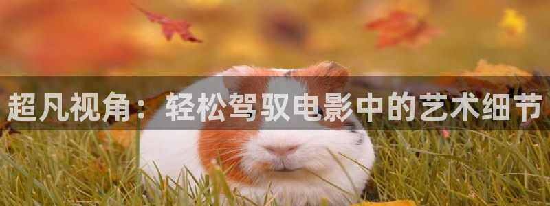青苹果电影免费在线看