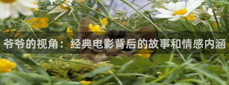 青苹果影院6680