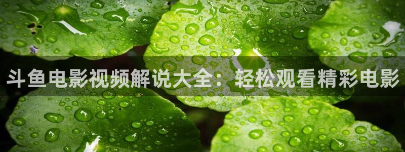 yy448青苹果影院