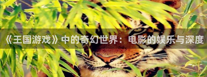 青苹果电影app：《王国游戏》中的奇幻世界：电影的娱乐与深度
