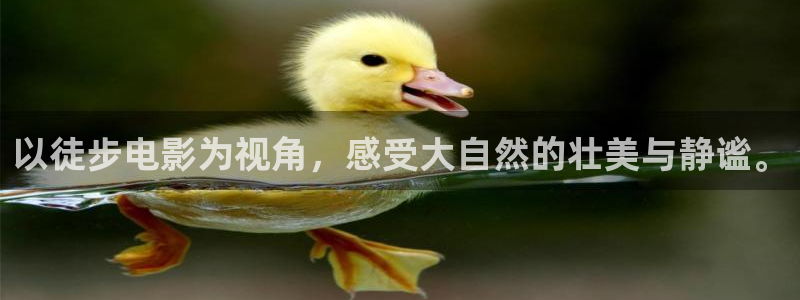 yy44800青苹果影院：以徒步电影为视角，感受大自然的壮美与静谧。