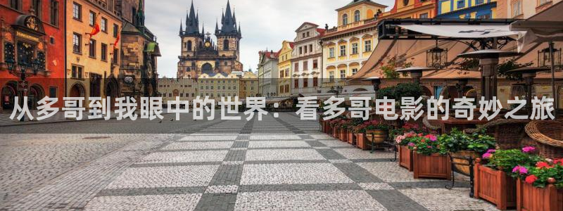 影院青苹果：从多哥到我眼中的世界：看多哥电影的奇妙之旅