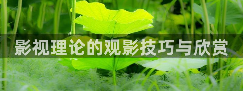 青苹果影院影院：影视理论的观影技巧与欣赏